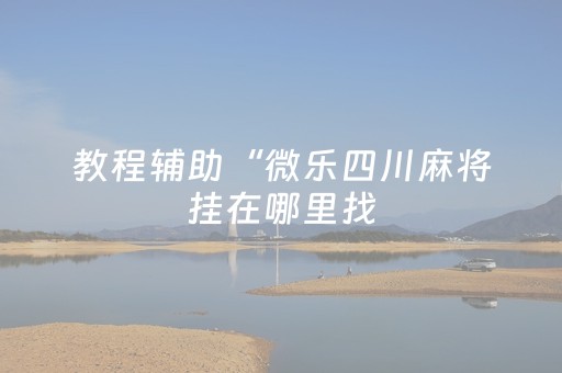 教程辅助“微乐四川麻将挂在哪里找（助赢神器通用版）