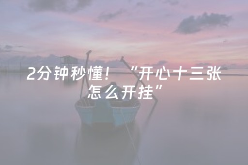 2分钟秒懂！“开心十三张怎么开挂”（详细辅助教程）-哔哩哔哩