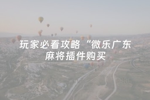 玩家必看攻略“微乐广东麻将插件购买（助赢神器通用版）