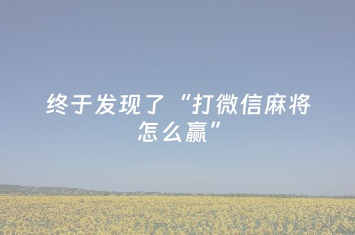 终于发现了“打微信麻将怎么赢”（详细透视教程）-哔哩哔哩