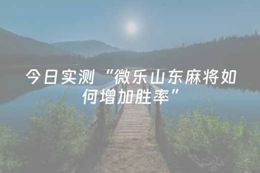 今日实测“微乐山东麻将如何增加胜率”（详细开挂教程）-哔哩哔哩