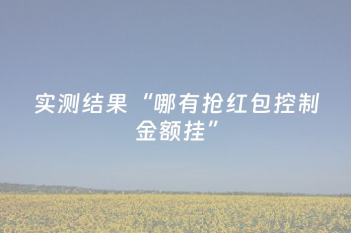 实测结果“哪有抢红包控制金额挂”（详细透视教程）-哔哩哔哩