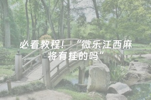 必看教程！“微乐江西麻将有挂的吗”（详细辅助教程）-哔哩哔哩