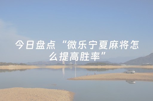 今日盘点“微乐宁夏麻将怎么提高胜率”（详细开挂教程）-哔哩哔哩