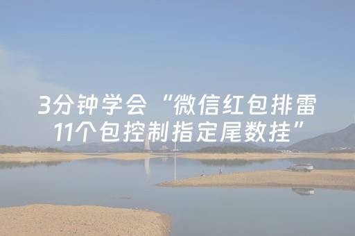 3分钟学会“微信红包排雷11个包控制指定尾数挂”（详细透视教程）-哔哩哔哩
