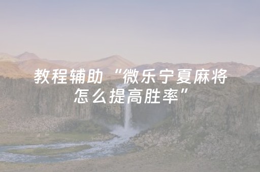 教程辅助“微乐宁夏麻将怎么提高胜率”（详细透视教程）-哔哩哔哩