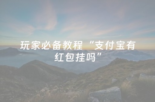 玩家必备教程“支付宝有红包挂吗”（详细透视教程）-哔哩哔哩