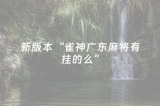 实测分析“微乐四川麻将挂件神器”（详细辅助教程）-哔哩哔哩