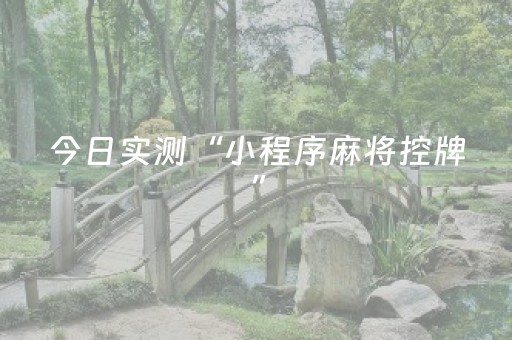 今日实测“小程序麻将控牌”（详细透视教程）-哔哩哔哩