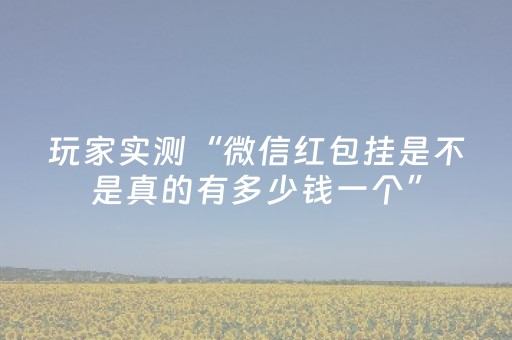 玩家实测“决胜麻将插件购买”（详细透视教程）-哔哩哔哩
