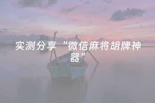 必看教程！“微乐捉鸡麻将有作假软件吗”（详细辅助教程）-哔哩哔哩