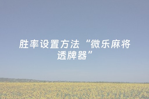 2分钟秒懂！“开心泉州麻将专用神器”（详细透视教程）-哔哩哔哩
