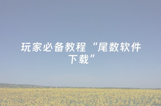 教程辅助“哥哥跑得快要怎么样拿好牌”（详细透视教程）-哔哩哔哩