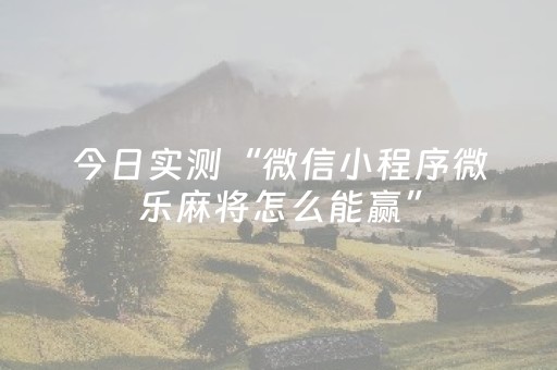 必看教程！“微信麻将助赢神器”（详细辅助教程）-哔哩哔哩