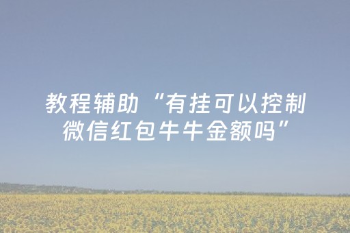 实测结果“支付宝红包尾数控制神器”（详细透视教程）-哔哩哔哩