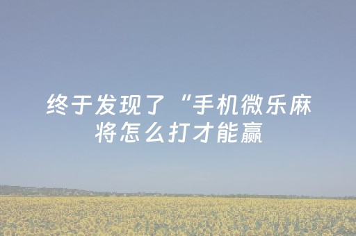 实测分享“吉祥填大坑辅助透视”（详细开挂教程）-哔哩哔哩
