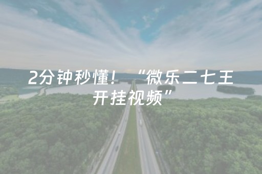 2分钟秒懂！“微乐二七王开挂视频”（详细透视教程）-哔哩哔哩