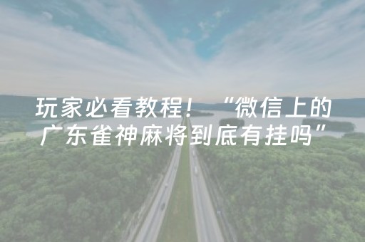 玩家必看教程！“微信上的广东雀神麻将到底有挂吗”（详细透视教程）-哔哩哔哩