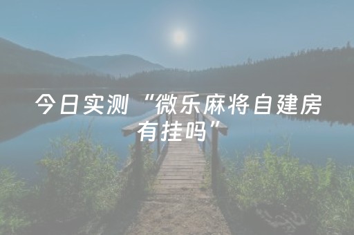 玩家必看教程！“微乐湖南麻将助赢神”（详细辅助教程）-哔哩哔哩