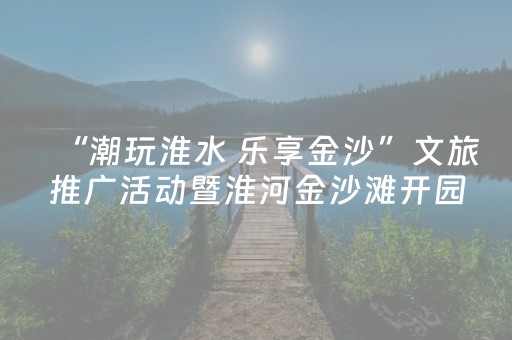 “潮玩淮水 乐享金沙”文旅推广活动暨淮河金沙滩开园仪式举行