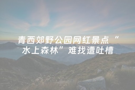 青西郊野公园网红景点“水上森林”难找遭吐槽