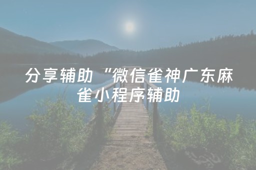 分享辅助“微信雀神广东麻雀小程序辅助（专用辅牌神器免安装）