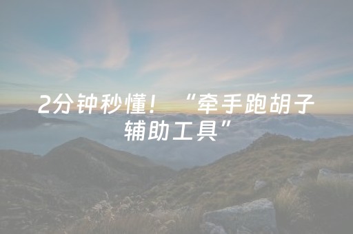 2分钟秒懂！“牵手跑胡子辅助工具”（详细开挂教程）-哔哩哔哩
