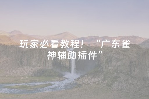 玩家必看教程！“广东雀神辅助插件”（详细辅助教程）-哔哩哔哩