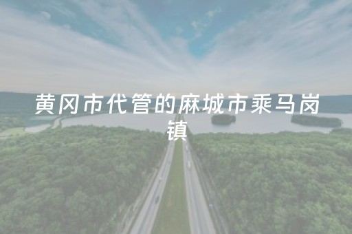 实测分析“微信麻将助赢神器购买”（详细辅助教程）-哔哩哔哩