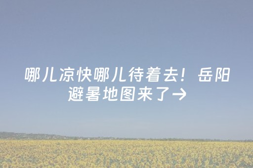 今日实测“手机上玩十三水怎么才能拿到好牌”（详细透视教程）-哔哩哔哩