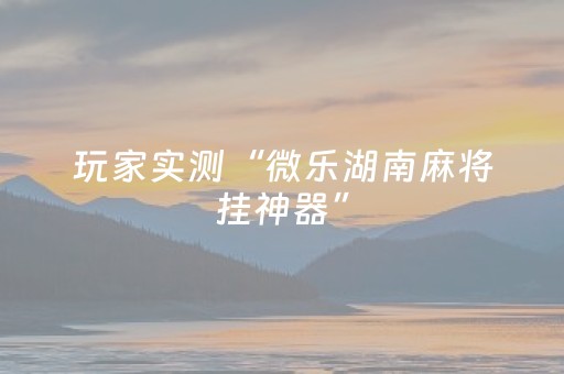 玩家实测“微乐湖南麻将挂神器”（详细透视教程）-哔哩哔哩