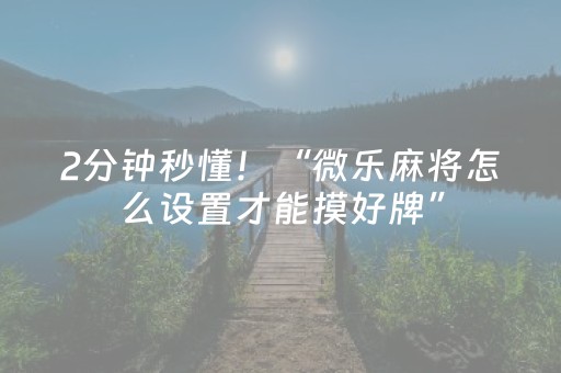 2分钟秒懂！“微乐麻将怎么设置才能摸好牌”（详细开挂教程）-哔哩哔哩