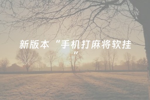 新版本“手机打麻将软挂”（详细透视教程）-哔哩哔哩