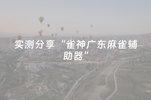 实测分享“雀神广东麻雀辅助器”（详细透视教程）-哔哩哔哩