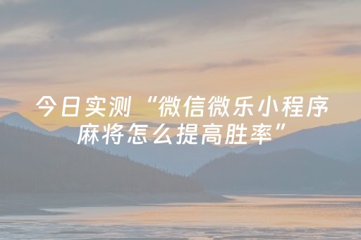 今日实测“微信微乐小程序麻将怎么提高胜率”（详细辅助教程）-哔哩哔哩
