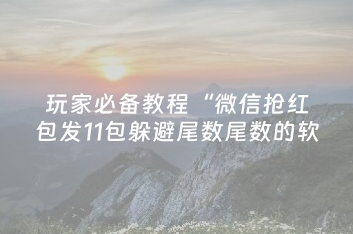 玩家必备教程“微信抢红包发11包躲避尾数尾数的软件”（详细透视教程）-哔哩哔哩