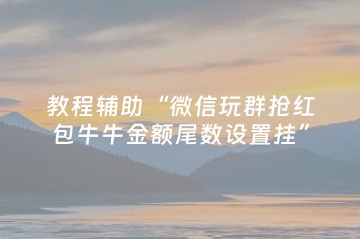 教程辅助“微信玩群抢红包牛牛金额尾数设置挂”（详细透视教程）-哔哩哔哩