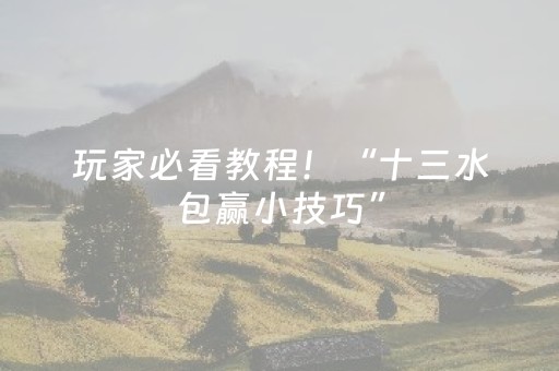 玩家必看教程！“十三水包赢小技巧”（详细开挂教程）-哔哩哔哩