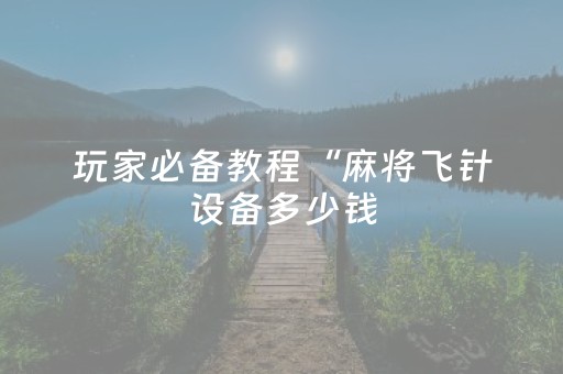 玩家必备教程“麻将飞针设备多少钱（专用辅牌神器免安装）