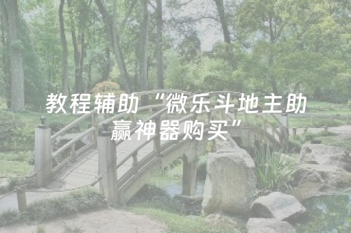 教程辅助“微乐斗地主助赢神器购买”（详细透视教程）-哔哩哔哩