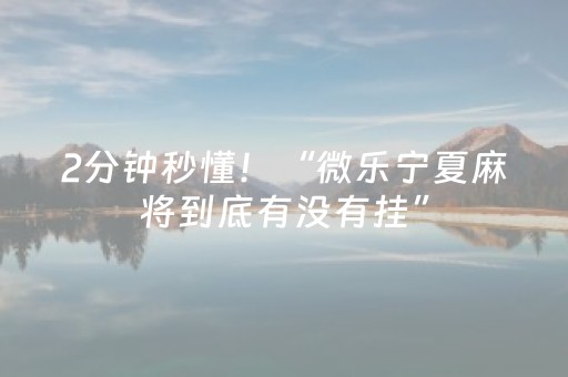 2分钟秒懂！“微乐宁夏麻将到底有没有挂”（详细透视教程）-哔哩哔哩