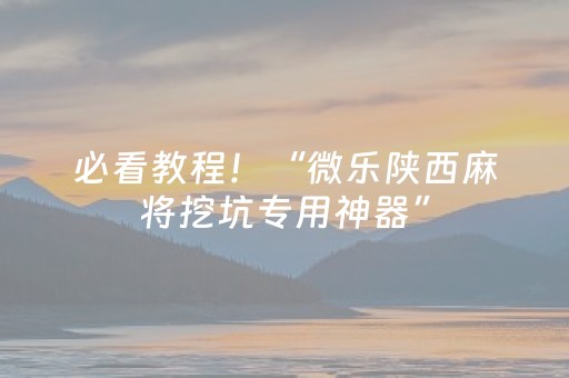 必看教程！“微乐陕西麻将挖坑专用神器”（详细辅助教程）-哔哩哔哩