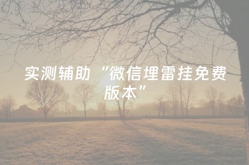 实测辅助“微信埋雷挂免费版本”（详细透视教程）-哔哩哔哩