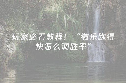 玩家必看教程！“微乐跑得快怎么调胜率”（详细透视教程）-哔哩哔哩