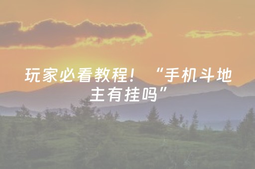 玩家必看教程！“手机斗地主有挂吗”（详细辅助教程）-哔哩哔哩