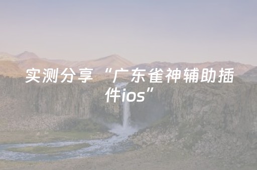 实测分享“广东雀神辅助插件ios”（详细辅助教程）-哔哩哔哩