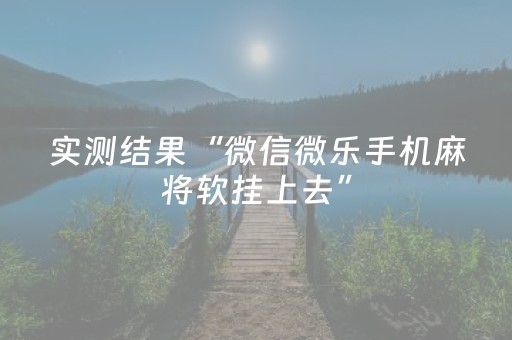 实测结果“微信微乐手机麻将软挂上去”（详细透视教程）-哔哩哔哩