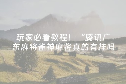 玩家必看教程！“腾讯广东麻将雀神麻将真的有挂吗”（详细透视教程）-哔哩哔哩