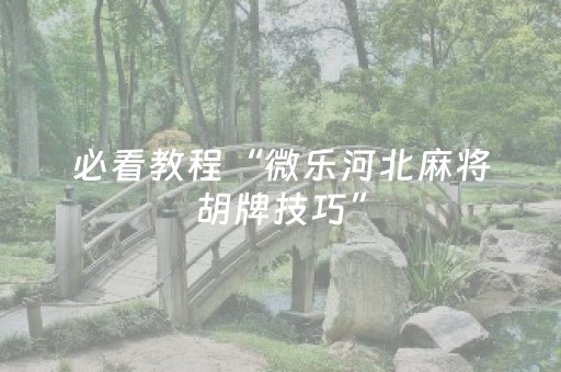 必看教程“微乐河北麻将胡牌技巧”（详细透视教程）-哔哩哔哩