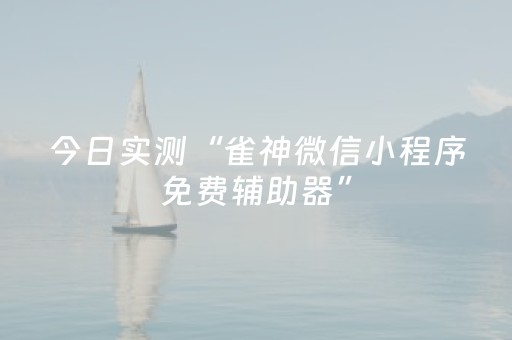 今日实测“雀神微信小程序免费辅助器”（详细透视教程）-哔哩哔哩